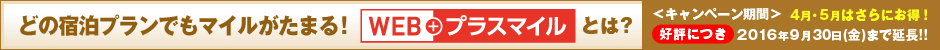 WEBプラスマイルとは？